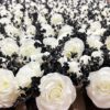 000d5c274a8cfba8 Fake Peony Flowers in Ceramic Vase,Faux Hydrangea Flower Arrangements for Home Decor Artificial Flowers with Vase