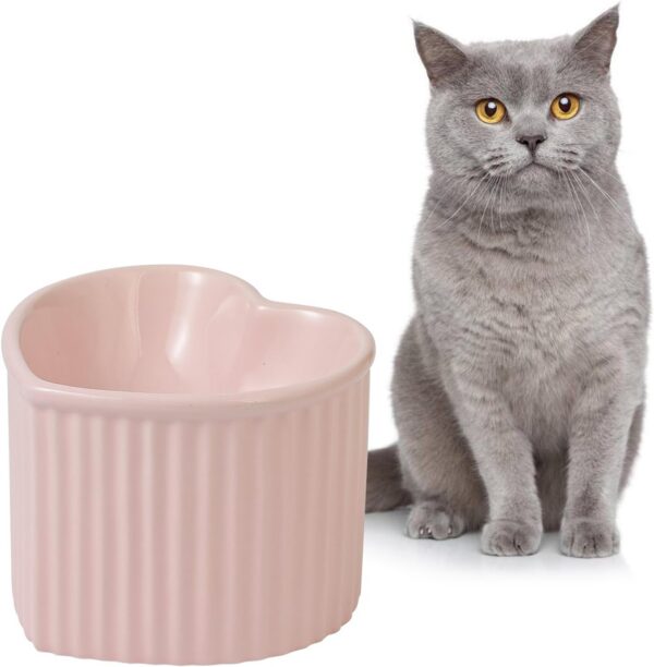 006575fcdc5e3a94 Cat Food Water Bowl Set - Raised Ceramic Cat Feeding Bowls with Non Slip Mat - Elevated Cat Dish Anti Vomiting - Whisker Friendly Wide Cat Bowl - Microwave and Dishwasher Safe - White & Pink (2pcs)