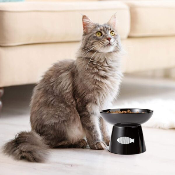 010356d9eb65f07e Yangbaga Cat Raised Food/Water Bowl for Elder Big Cats, Non-Skid 4.8x6.4in Premium Ceramic Cat Bowls with Stand, Sturdy and Anti-Fall… (White)