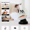 Y YHY Slow Feeder, Elevated Food Bowl Tilted Design for Dog and Cat for Dry and Wet Food