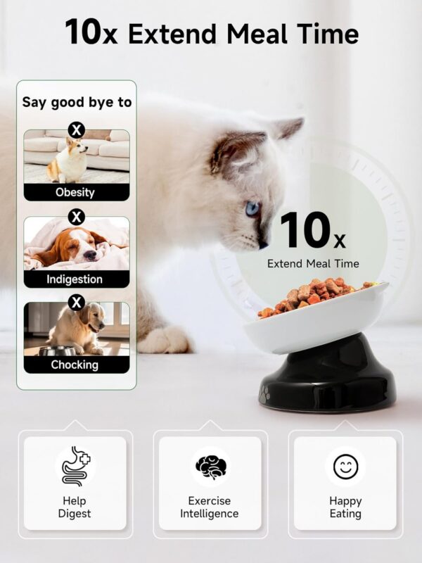 Y YHY Slow Feeder, Elevated Food Bowl Tilted Design for Dog and Cat for Dry and Wet Food