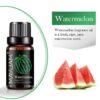 MAYJAM 10ML Fruit Fragrance Oil Strawberry Watermelon Mango Coconut Cherry For Humidifier Candle Soap Making Air Freshener