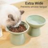 027c57b9ef4a1e7f 2 Extra Wide Raised Cat Food Bowl, Elevated Anti-Vomiting Cat Feeder Whisker Stress-Free Dog Two Bowls Ceramic Cat Feeding Bowls White