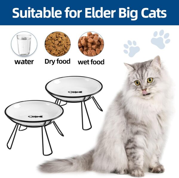 029671e0d052695d Cat Bowls, Elevated Cat Bowl, Raised Ceramic Cat Dish with Metal Stand, Pet Water or Food Feeding Station for Indoor Cats, Kitten, Puppies and Small Dogs(2 Pack)