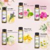 02a6adcc920b3b14 EUQEE 6 Bottles Floral Series Essential Oils Set For Diffuser Candle Making-Rose Lavender Ylang Ylang Jasmine Geranium Chamomile