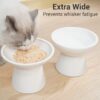 04446db251bbd850 2 Extra Wide Raised Cat Food Bowl, Elevated Anti-Vomiting Cat Feeder Whisker Stress-Free Dog Two Bowls Ceramic Cat Feeding Bowls White