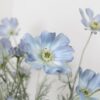 056d0c5f92891038 2 Pcs Artificial Fake Flowers Plants Cosmos Silk Flower Arrangements Wedding Bouquets Decorations Plastic Floral Table Centerpieces for Home Kitchen Garden Party Decor Approx 23.6'' High - White