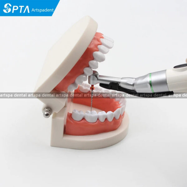 058bc5654644cfed SPTA 16:1 Contra Angle Low Speed Turbine Handpiece with Reciprocating Root Canal File Endodontic Treatment Dentistry Materials