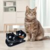 05c561ae95e37ea5 Cat Food Bowls Elevated Cat Bowls Tilted 15° Plastic Cat Dishes Double Raised Cat Bowl with Non-Slip Rubber Base Stand for Cats (Black)