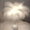 1PC Feather Design LED Table Lamp Kids - Battery-Powered, Portable & Ideal Bedroom Decor for All Ocns
