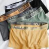 06c2ed096574c899 5pcs Underwear, Breathable Comfy Quick Drying Stretchy Trunks, Sexy Underpants, Men's Trendy Boxer Panties