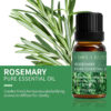 0700a43a5f374b2d Essential Oils for Diffusers Lavender Eucalyptus Tea Tree Peppermint Rosemary Mint Bergamot Lemon Rose Pure Essential Oil 10ml