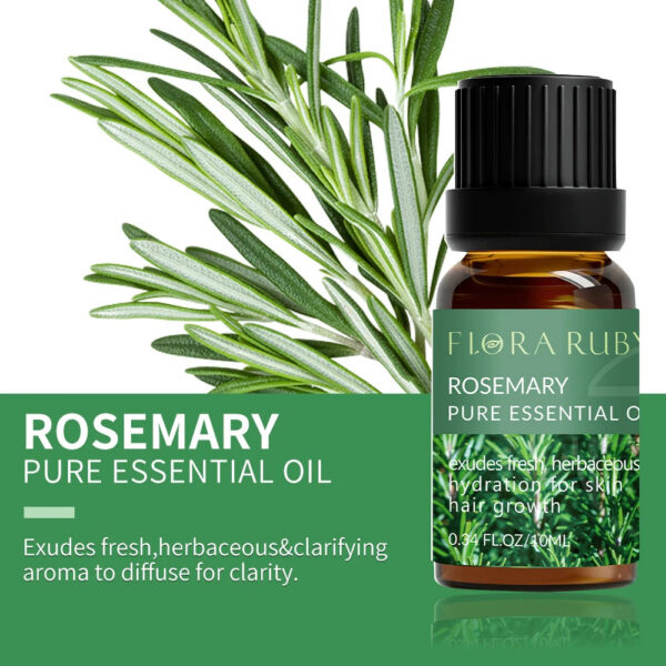 0700a43a5f374b2d Essential Oils for Diffusers Lavender Eucalyptus Tea Tree Peppermint Rosemary Mint Bergamot Lemon Rose Pure Essential Oil 10ml