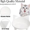 070b699820aa3fec Cat Food Bowl, Anti-Skid Base, Non-Toxic Material, Dishwasher Safe, 14.5cm Diameter