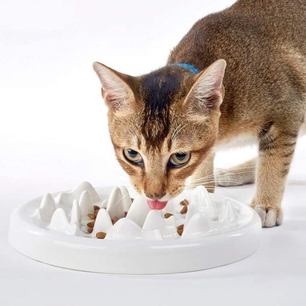Slow Food Bowl for Cats,Fun Interactive Pet Feeding Bowl,Fish Design Feeding Tray Prevents Cats from Gulping,Indigestion and Obesity,Slow Feeder for Cats and Puppies,Dishwasher Safe.