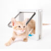 with 4 Way Lock Security Flap for Dog Kitten Small Pet Door Kit Cat Puppy Safety Gate S/M/L 5 Colors
