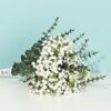 Yastouay Babys Breath Artificial Flowers, 12Pcs Fake White Babys Breath Flowers Artificial Bulk, Real Touch Faux Babies Breath Gypsophila Bouquet for Wedding Floral Arrangement Party Decor