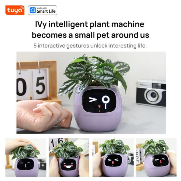 Tuya Ivy Smart Planter,Endless Over 49 Rich Expressions,7 smart sensors,AI Chips Make Raising Plants Easy and Fun