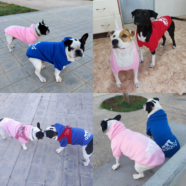 08a05d041bc3b4e4 2021 Winter Dog Hoodies Fleece Warm Sweatshirt Small Medium Large Jacket Clothing Pet Costume Dogs Clothes