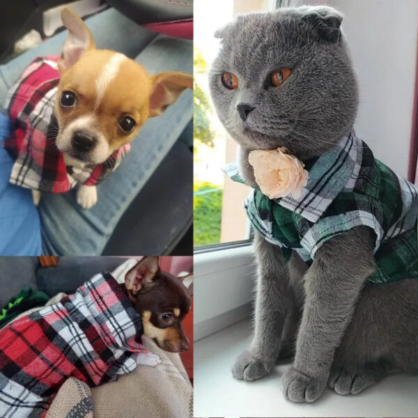 Summer Pet Classic Plaid Clothes for Cats Dogs Fashion Cotton Cat Dog Tshirt Vest Puppy Clothing Chihuahua Yorkshire Shirts Pets