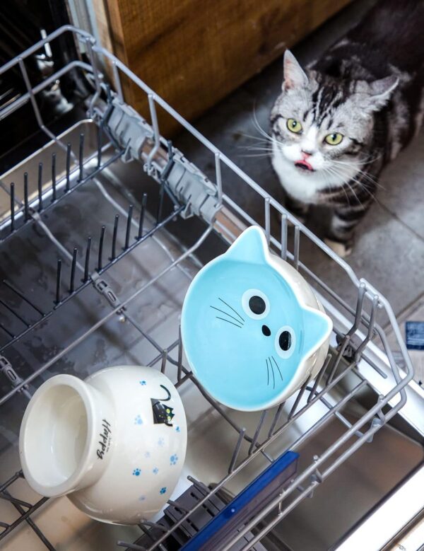 09fcf08c61c0927e AISBUGUR Ceramic Cat Bowls Set of 2, Elevated 15 Tilted Design for Indoor Cats, Large Capacity, Easy to Clean, Non-Slip Base, Cute Pattern, Blue