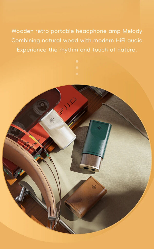 FiiO/Snowsky Melody Headphone Amplifier Portable DAC with 4.4mm and 3.5mm Headphones DSD256, 10-Band PEQ for for Android/wins