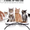 Y YHY Cat Bowls Elevated, Ceramic, 12 Ounces, Reduce Neck Burden, Anti Vomiting, Dishwasher Safe