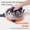 20,000 BTUs 2 Burner Propane Camping Stove, Portable Folding Camp Stove with Adjustable Burners, Regulator and Carrying Bag, Dual Gas Stoves Easy Carrying Handle for Tailgating, Camping, BBQ