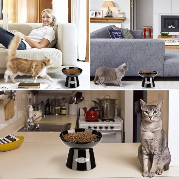 0dbfd0b96c0a5d33 Yangbaga Cat Raised Food/Water Bowl for Elder Big Cats, Non-Skid 4.8x6.4in Premium Ceramic Cat Bowls with Stand, Sturdy and Anti-Fall… (White)