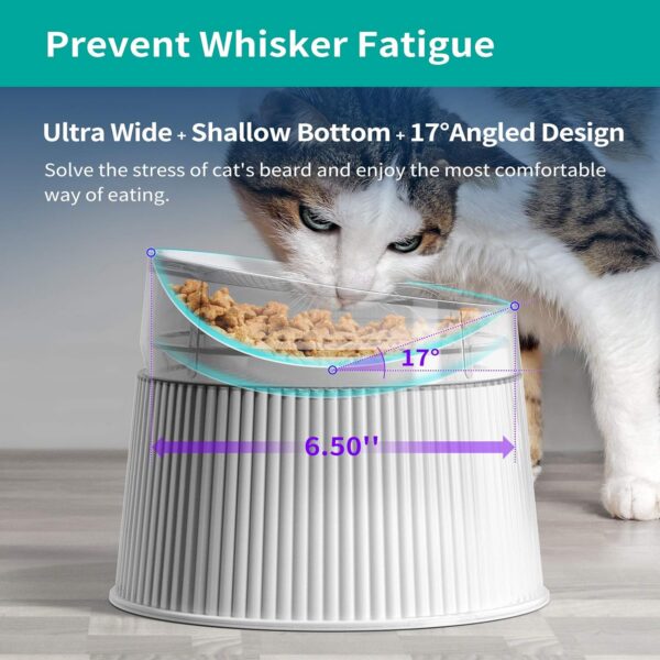 0f4f3968463d66e0 Elevated Cat Food Bowl Super Widen Raised Cat Food Dishes for Protecting Spine, Reliefing Whisker Fatigue, Anti-Vomiting 17° Tilted Pet Feeding Bowls with Silicone Mat for Indoor Cats
