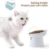 0fac4ff9916e70dd TAMAYKIM Tilted Ceramic Raised Cat Bowls, 8 OZ Food and Water Bowls Set for Kitty, Porcelain Elevated Stress Free Feeding Pet Dish, Dishwasher and Microwave Safe, 2 Pack (White & Grey)