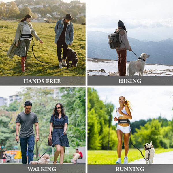 0fb1bf3ccc7d27ae Hands Free for Running Walking Reflective Leash with Waist Bag Retractable Elastic Belt Dog Traction Rope Pet Products