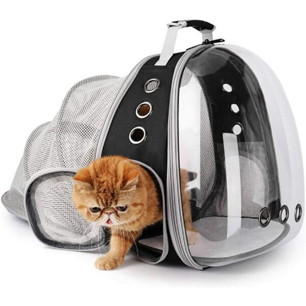 0fca9cffaa5971be Expandable Cat Large Transparent Carrier Backpack Bubble Space Capsule High Quality Pet Travel Bag