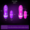 Silicone Vibrating Egg Bullet Vibrators Vaginal Masturbation G Spot Stimulating Massager Women Sex Toys