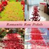 Red Rose Petals Decorations Set, 1000 Pieces Artificial Rose Petals with 3Pcs Romantic Banner, Rose Petals for Romantic Night for Her Set, Special Night Party Decor for Home, Wedding, Anniversary
