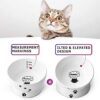 Y YHY Raised Cat Food Bowl Set, Ceramic, Tilted Elevated Bowls, 2 Bowls, 3.6 in & 3 in, White