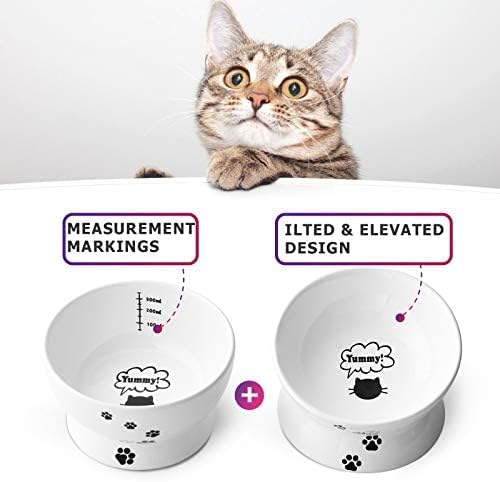 Y YHY Raised Cat Food Bowl Set, Ceramic, Tilted Elevated Bowls, 2 Bowls, 3.6 in & 3 in, White