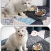 1161eaa503a443e1 Stainless Steel Cat Food Bowl, 15-Angle, Ergonomic Design Reduces Vomiting