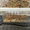 Hypeety Automatic Bird Feeder No Mess Pet Feeder Seed Food Container Perch Cage Accessories for Budgerigar Canary Cockatiel Finch Parakeet