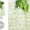 U'Artlines 24 Pack (Total 86.4 Feet) Artificial Fake Wisteria Vine Rattan Hanging Garland Silk Flowers String Home Party Wedding Decor (24, White)