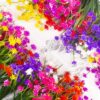 12cdaf2de8b3e2d1 Grunyia Artificial Flowers Outdoor UV Resistant Fake Plants Indoor Outside Hanging Planter Home Garden Decor, 10 Bundles (Pink)