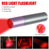 Penlight One Mode Red Light Flashlight for Camping Hiking Animal Protecting Beekeeping Detecting Aviation Night Vision