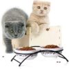 Y YHY Cat Bowls Elevated, Ceramic, 12 Ounces, Reduce Neck Burden, Anti Vomiting, Dishwasher Safe