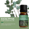 141c20ebe0a29d4a Essential Oils for Diffusers Lavender Eucalyptus Tea Tree Peppermint Rosemary Mint Bergamot Lemon Rose Pure Essential Oil 10ml