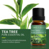 14934e84efbb3aea Essential Oils for Diffusers Lavender Eucalyptus Tea Tree Peppermint Rosemary Mint Bergamot Lemon Rose Pure Essential Oil 10ml