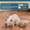 PEGGY11 Lightweight Stainless Steel Cat Bowls - 1.8 Cup, 2 Pack