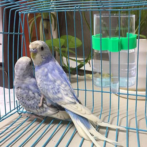 15ffa68b9e4287e7 2 Pcs Automatic Bird Water Dispenser, Parrot Bird Water Feeder, Bottles Bird Drinker Seed Food Container, Parakeet Cage Accessories for Parakeet Budgies Cockatiel Lovebird Small Birds Canary Finch