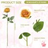 16985eecb02f7cf3 50 Pcs Artificial Rose Flower Realistic Silk Roses with Stem Bouquet of Flowers Plastic Flowers Real Looking Fake Roses for Home Wedding Centerpieces Party Decorations (Black)