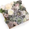 Serra Flora Artificial Christmas Flowers Greenery Combo Box Set Faux Flowers Bulk Flower Leaf with Stems for DIY Tree Ornaments Xmas Wreath Floral Arrangements Centerpieces