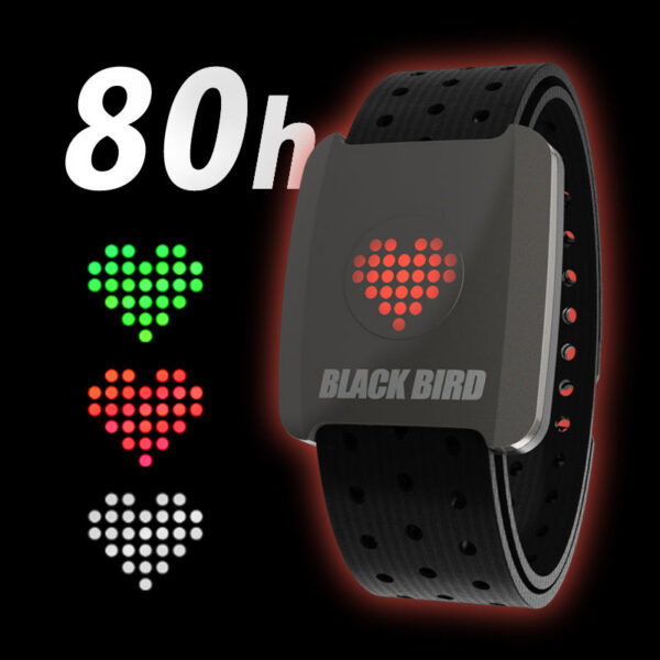 17ff3cb6b8ac7ac2 Blackbird HR5 Armband Heart Rate Monitor Arm Hand Strap Sensor ANT+ Wireless Fiess for XOSS IGPSPORT Cycg Bicycle Sports